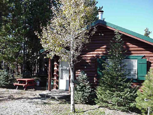 Cabin #8