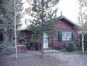 Cabin 8