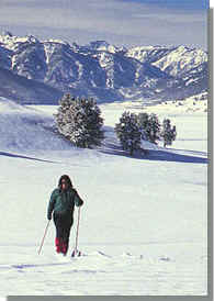 Yellowstone Village.Cross Country Skiing.Drop.JPG (25634 bytes)