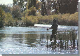 Yellowstone Village.Flyfishing.Drop.JPG (26882 bytes)