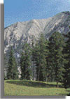 Recreation.Golf.Big Sky.Drop.2.JPG (10174 bytes)